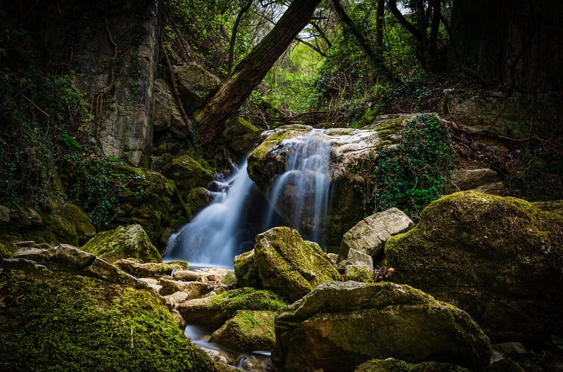 Tranquil Garden Waterfall